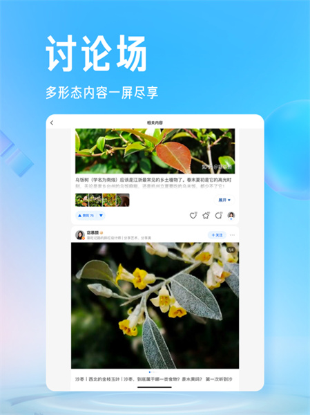 知乎ipad軟件0