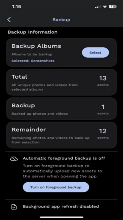 immich v1.86.0 安卓版 1