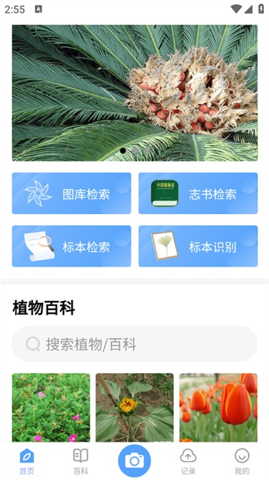 植物智 v2.10.24 安卓版 0