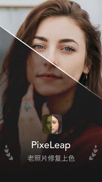 PixeLeap v1.1.1.0 安卓版 2