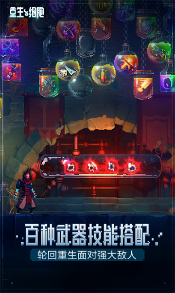 重生細(xì)胞九游版本0