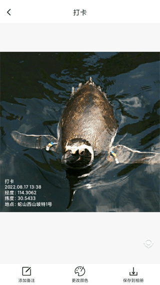 打卡定位 v1.4.3.06062100 2