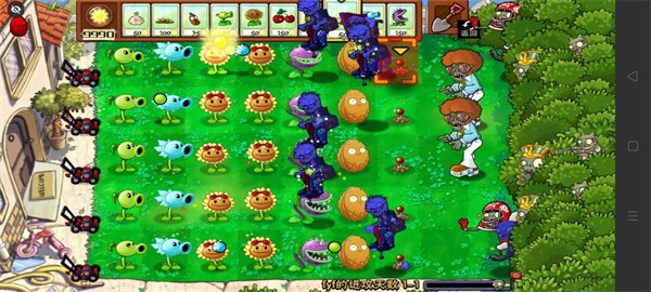 植物大戰(zhàn)僵尸B版支線 v0.6.0 安卓版 0