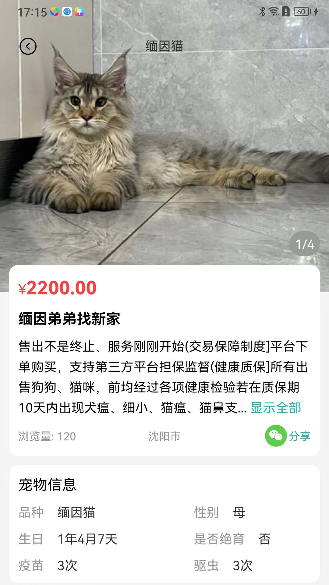 寵都2