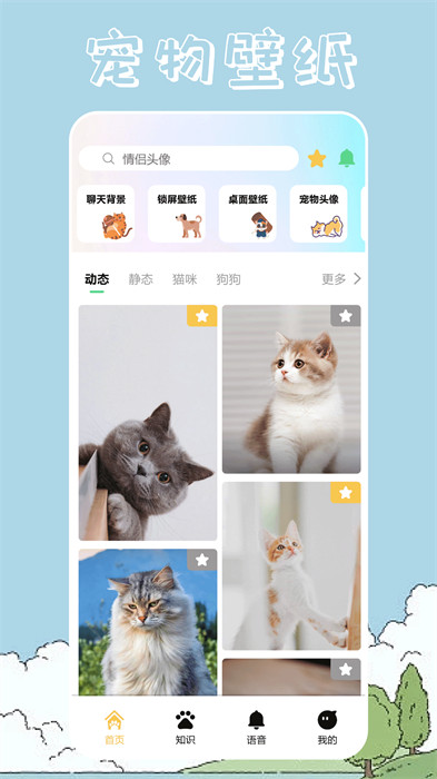 桌面寵物壁紙 v1.1 安卓版 0