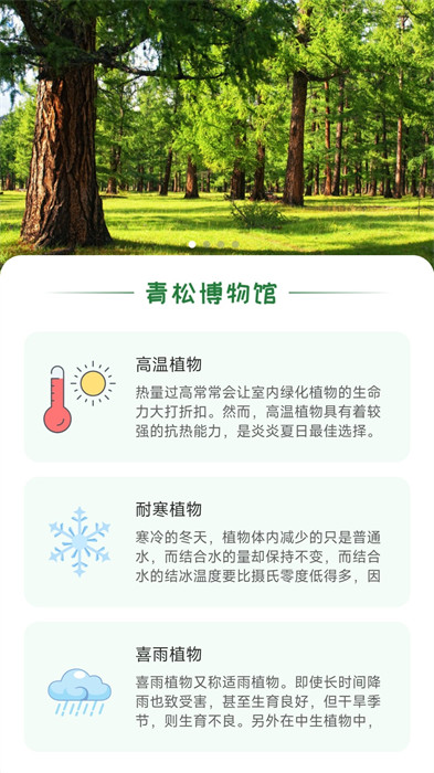 青松奇源 v1.0.0 2