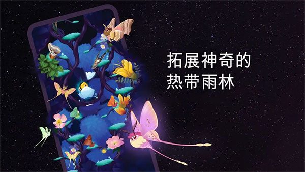 彩翼之星夜 v2.204 3