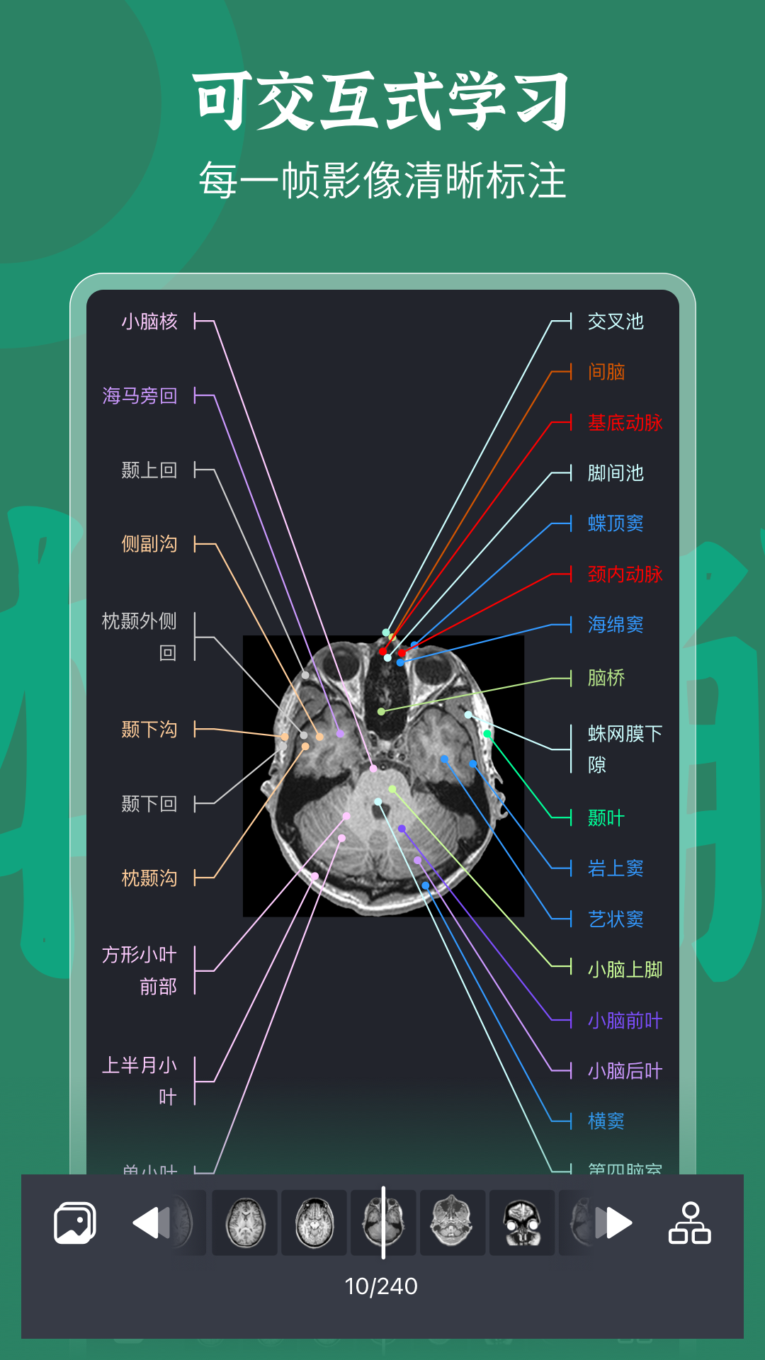 萬康人體解剖 v3.2.3 安卓版 1