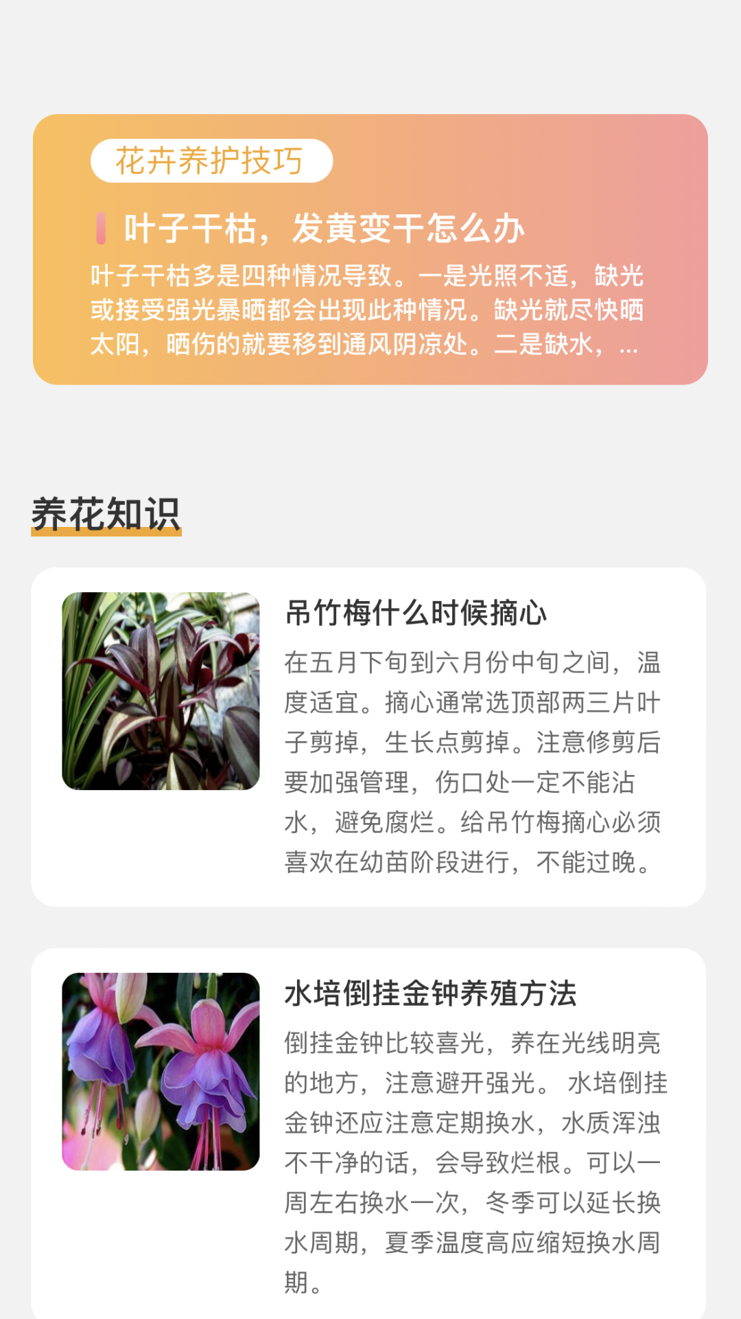 百花悅看 v2.0.9 安卓版 3