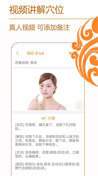 經(jīng)絡(luò)養(yǎng)生專(zhuān)業(yè)知識(shí) v3.9.0 安卓版 0