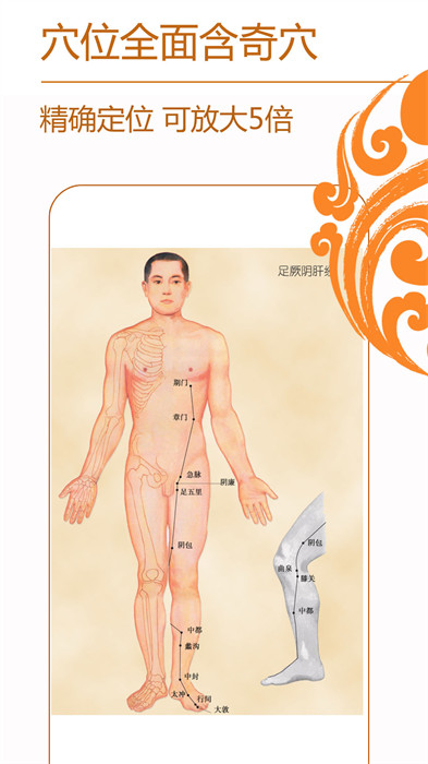 經(jīng)絡(luò)養(yǎng)生專(zhuān)業(yè)知識(shí) v3.9.0 安卓版 3