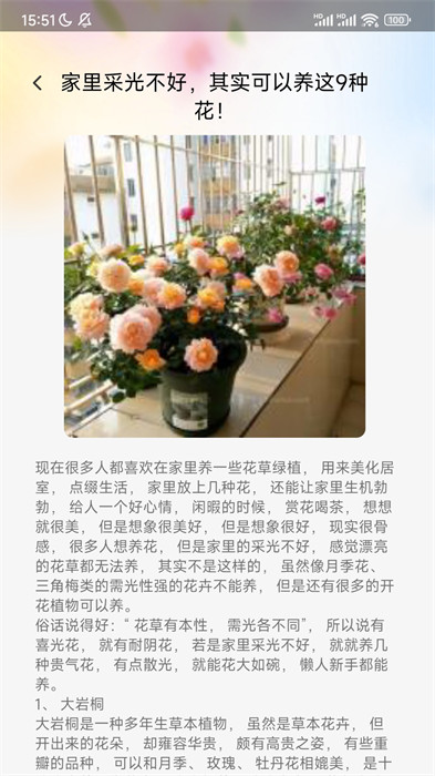 妙看百花 v1.0.0 1