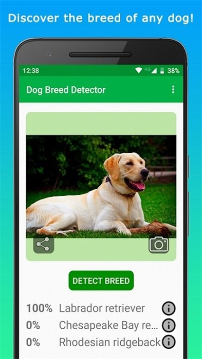 doggy v1.4.2 安卓版 0