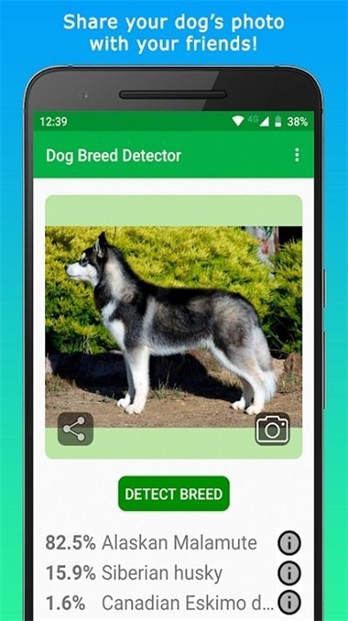 doggy v1.4.2 安卓版 2