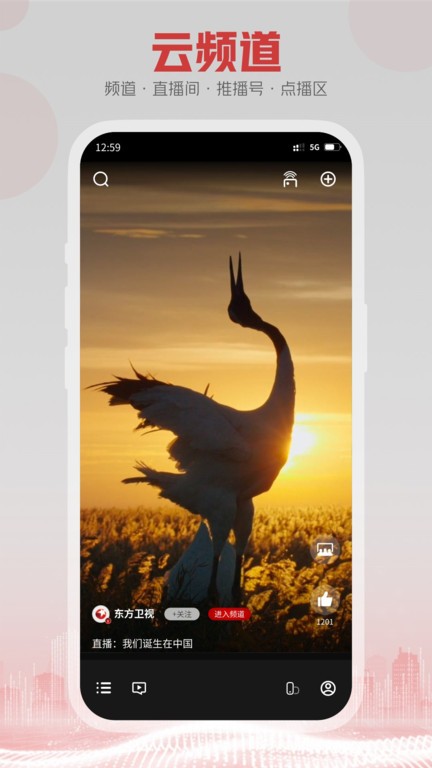5g云tv v1.3.MP.010 安卓版 1