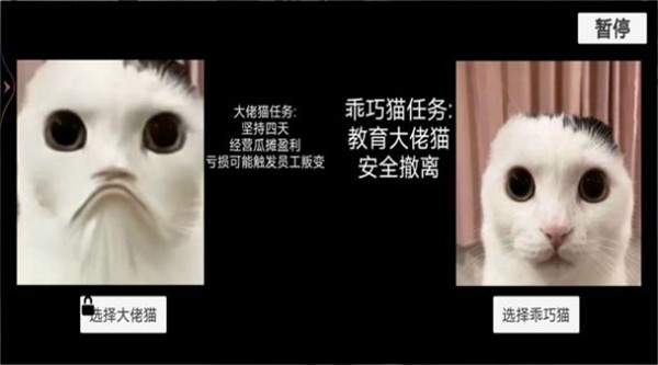 貓貓?bào)@魂夜 v1.0 1