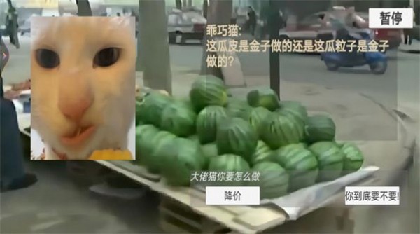 貓貓?bào)@魂夜 v1.0 0