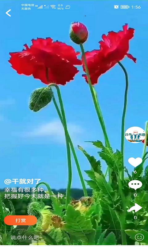 蹦多多短視頻直播2