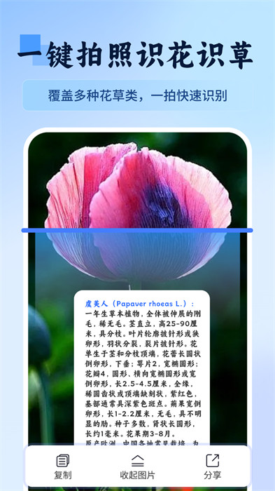 萬(wàn)物識(shí)圖快拍易識(shí)別 v1.1 2