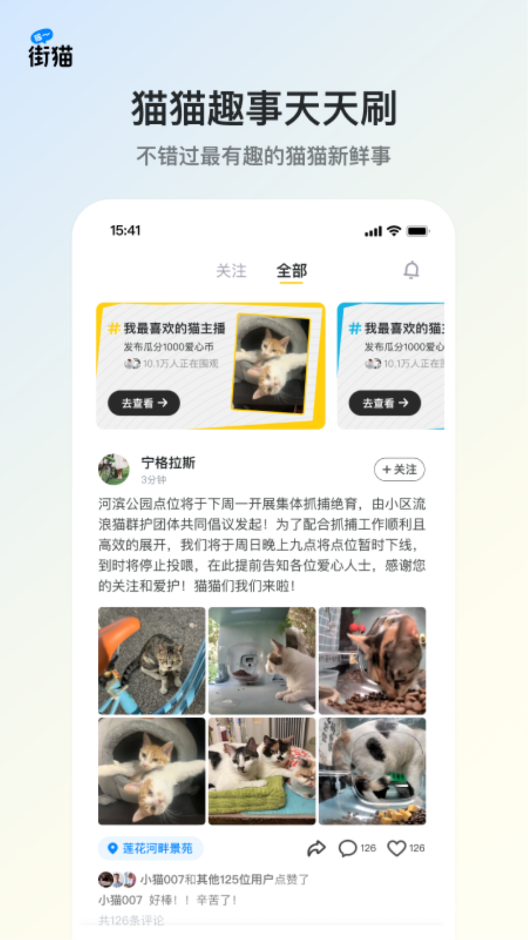 街貓手機版 v1.31.5 安卓版 2
