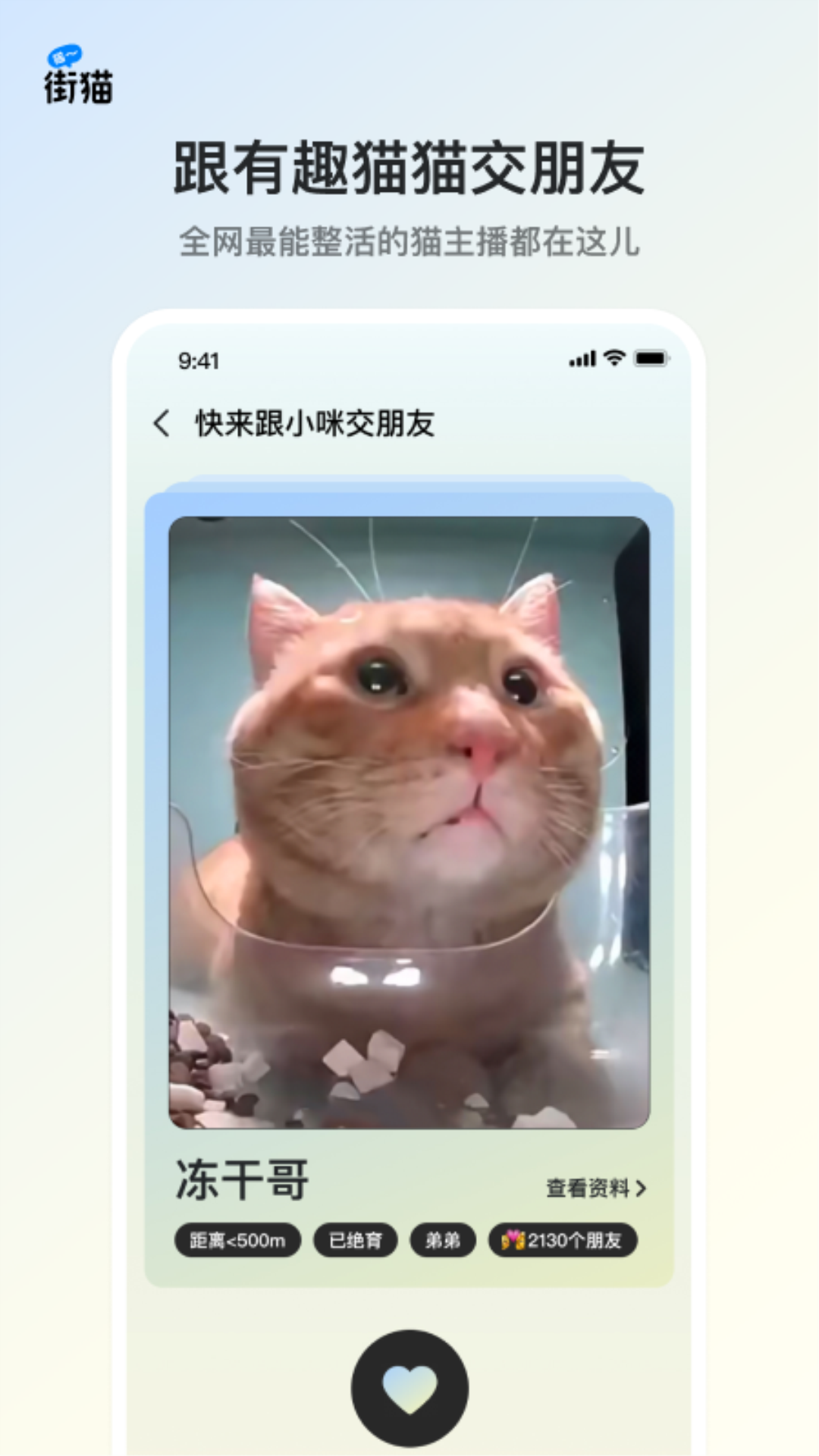 街貓手機版 v1.31.5 安卓版 1
