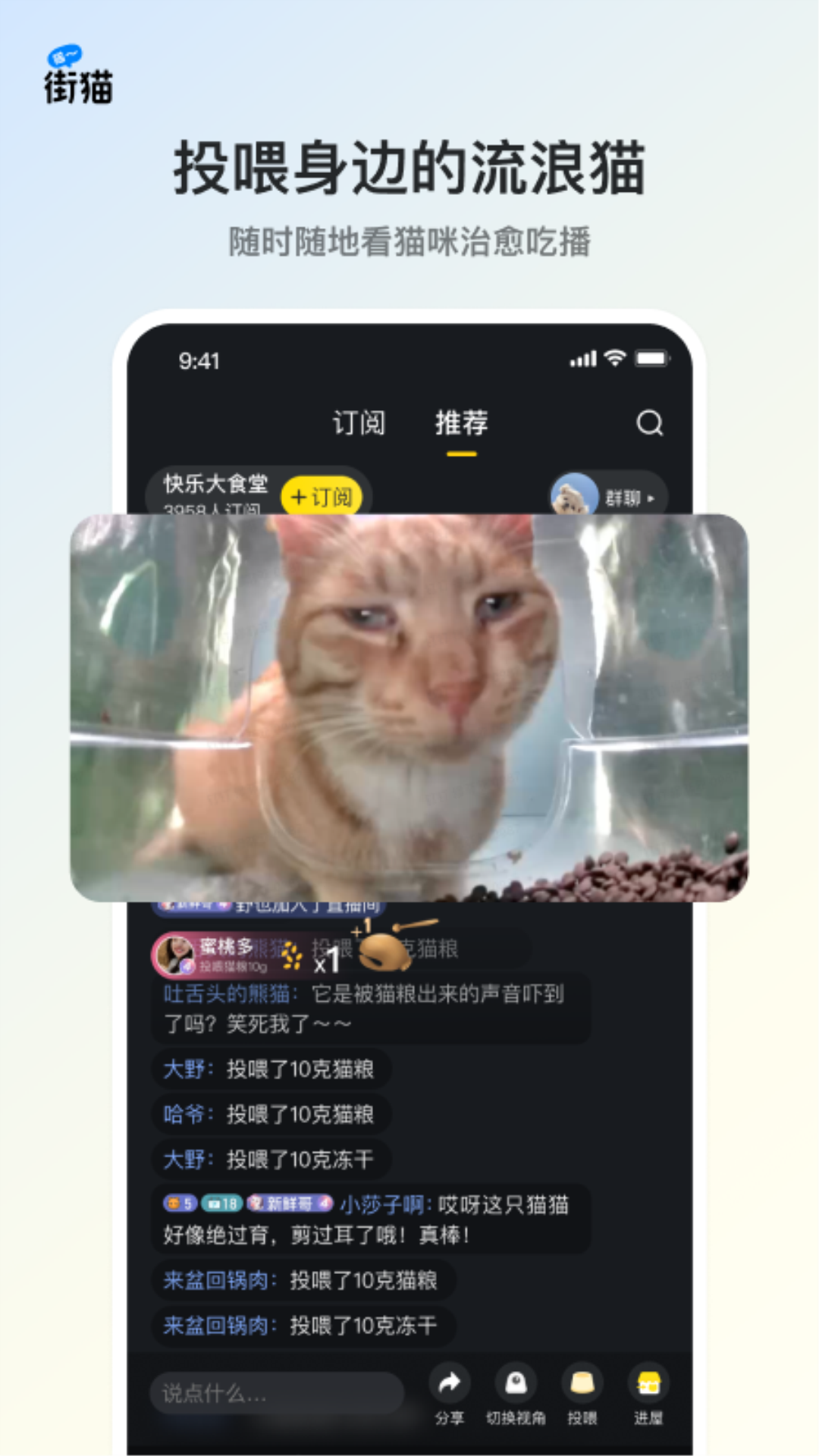 街貓手機版 v1.31.5 安卓版 4