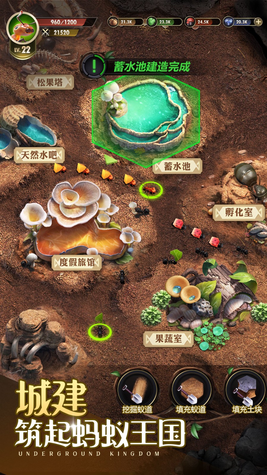 小小蟻國 v1.89.0 安卓版 1