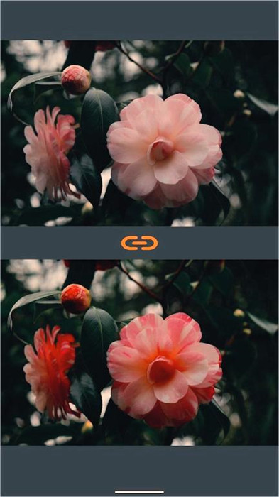 VES圖像和照片進(jìn)行比較 v2.2.6 2