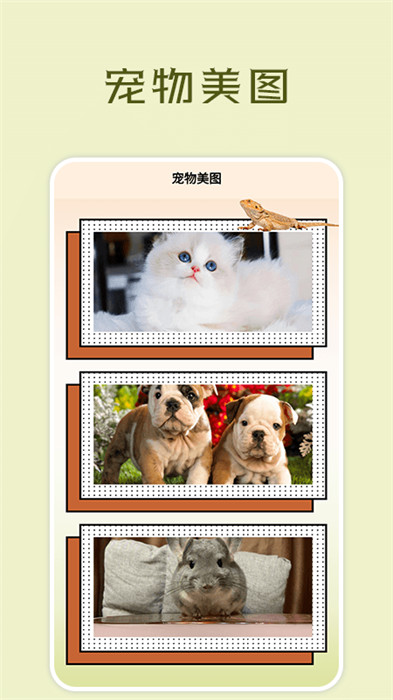 寵物小組件盒子 v1.1 0