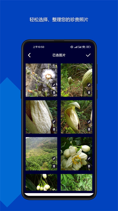 魔法音樂相冊(cè) v23.12.19 3