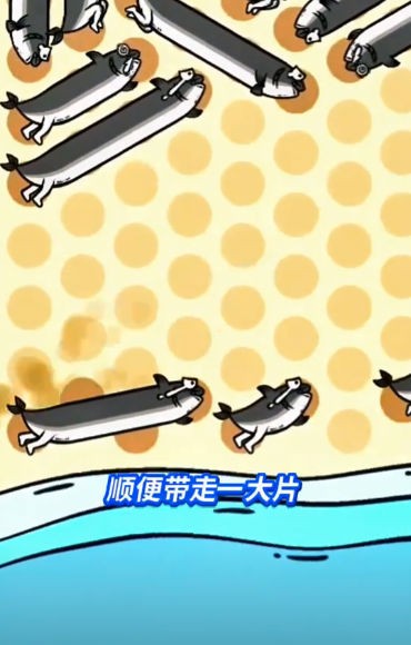 這關(guān)很難過(guò) v1.0 安卓版 1