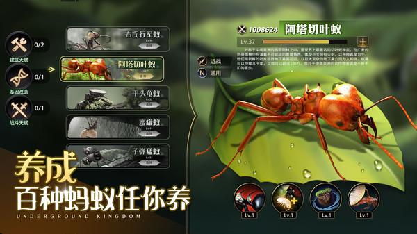 小小蟻國(guó)小米客戶(hù)端 v1.89.0 安卓版 2
