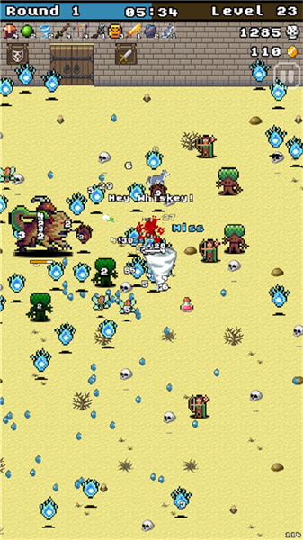 競(jìng)技場(chǎng)幸存者 v0.2.0 安卓版 1