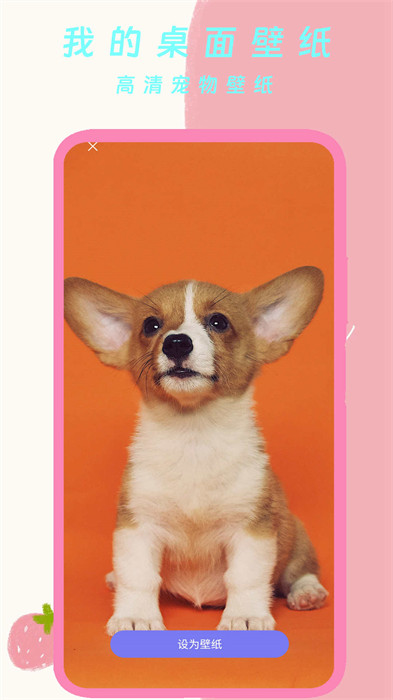 我的桌面壁紙 v1.0 手機版 0