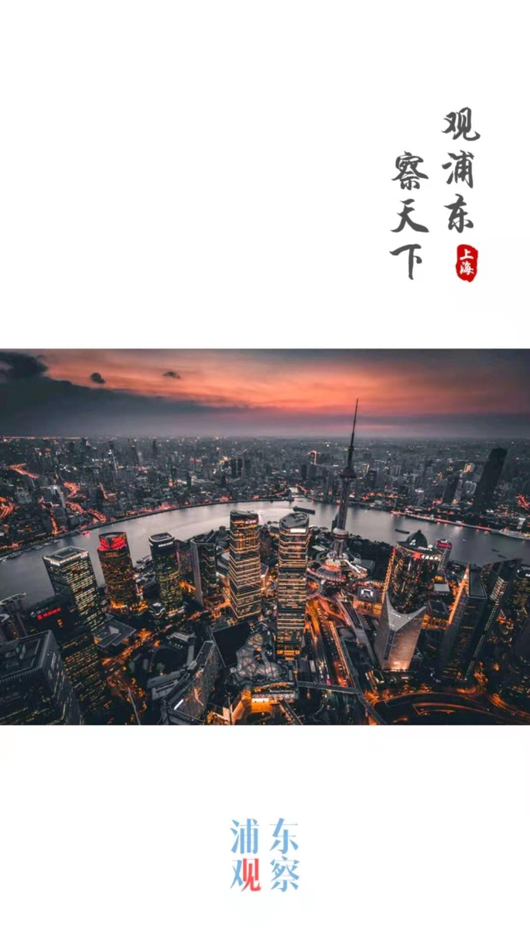 浦東觀察客戶端 v4.1.0 安卓版 0