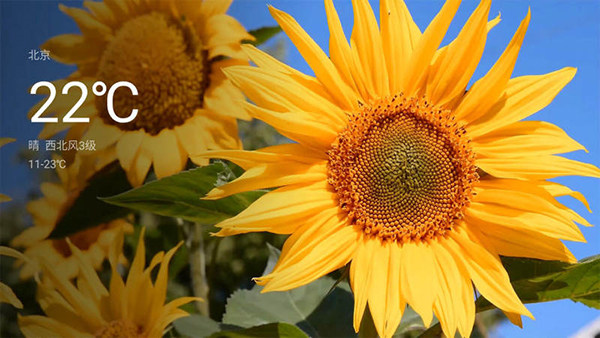 氛圍壁紙 2.6.1135 0