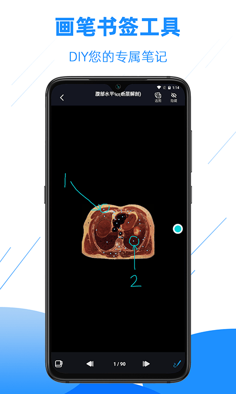 醫(yī)學(xué)影像解剖圖譜 v4.2.0 安卓版 3