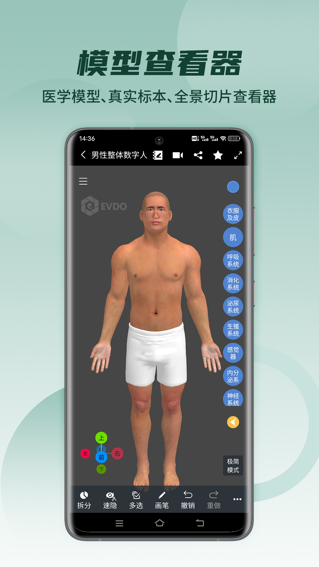醫(yī)維度解剖app v3.3.8 安卓版 3