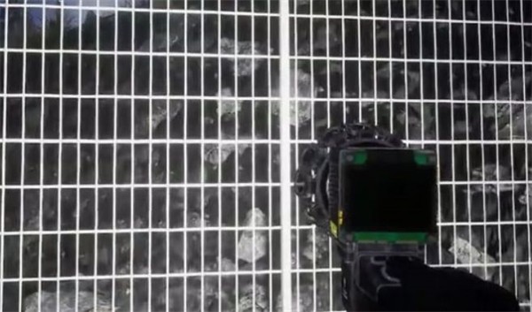 詭異動物園 v1.0.0 安卓版 1