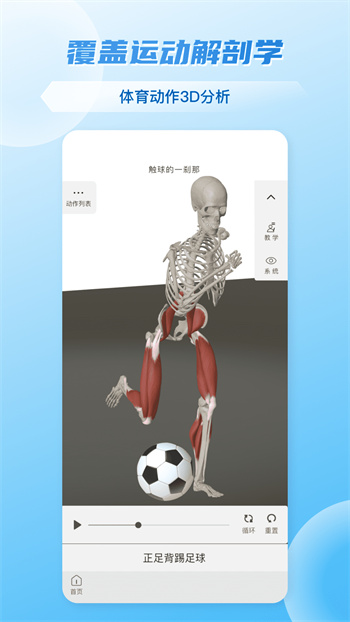 維薩里3d解剖全集終身正式版 v6.6.3 安卓?jī)?nèi)購(gòu)版 1