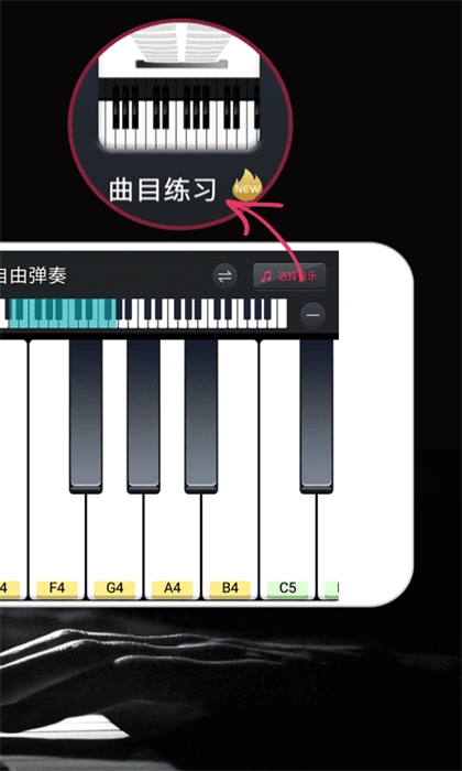 模擬鋼琴 v25.5.50 手機(jī)版 3