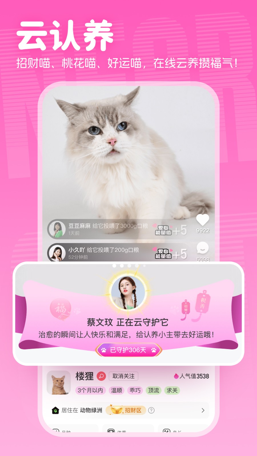 附近有喵 v1.2.70 安卓版 0