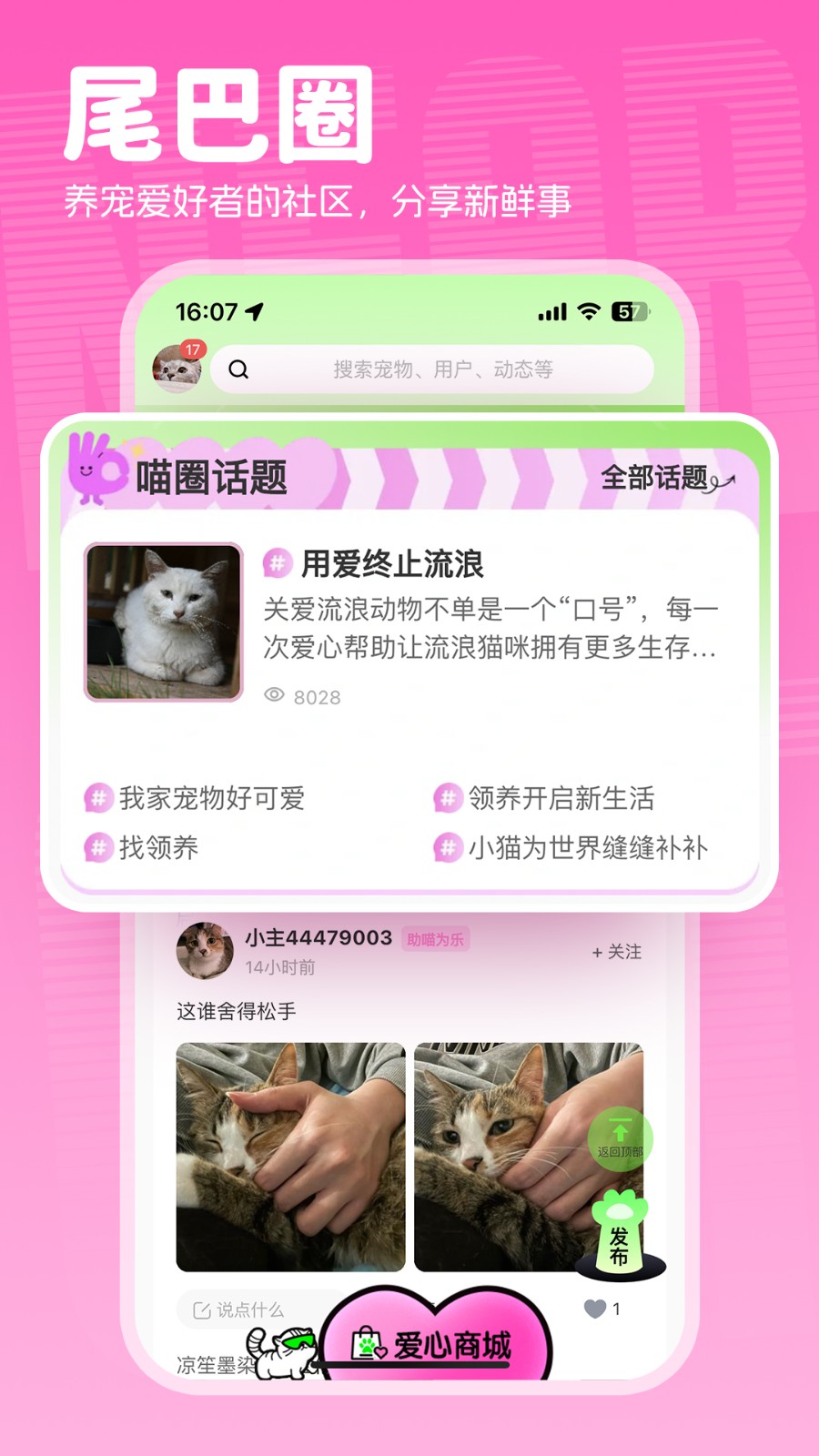 附近有喵 v1.2.70 安卓版 3