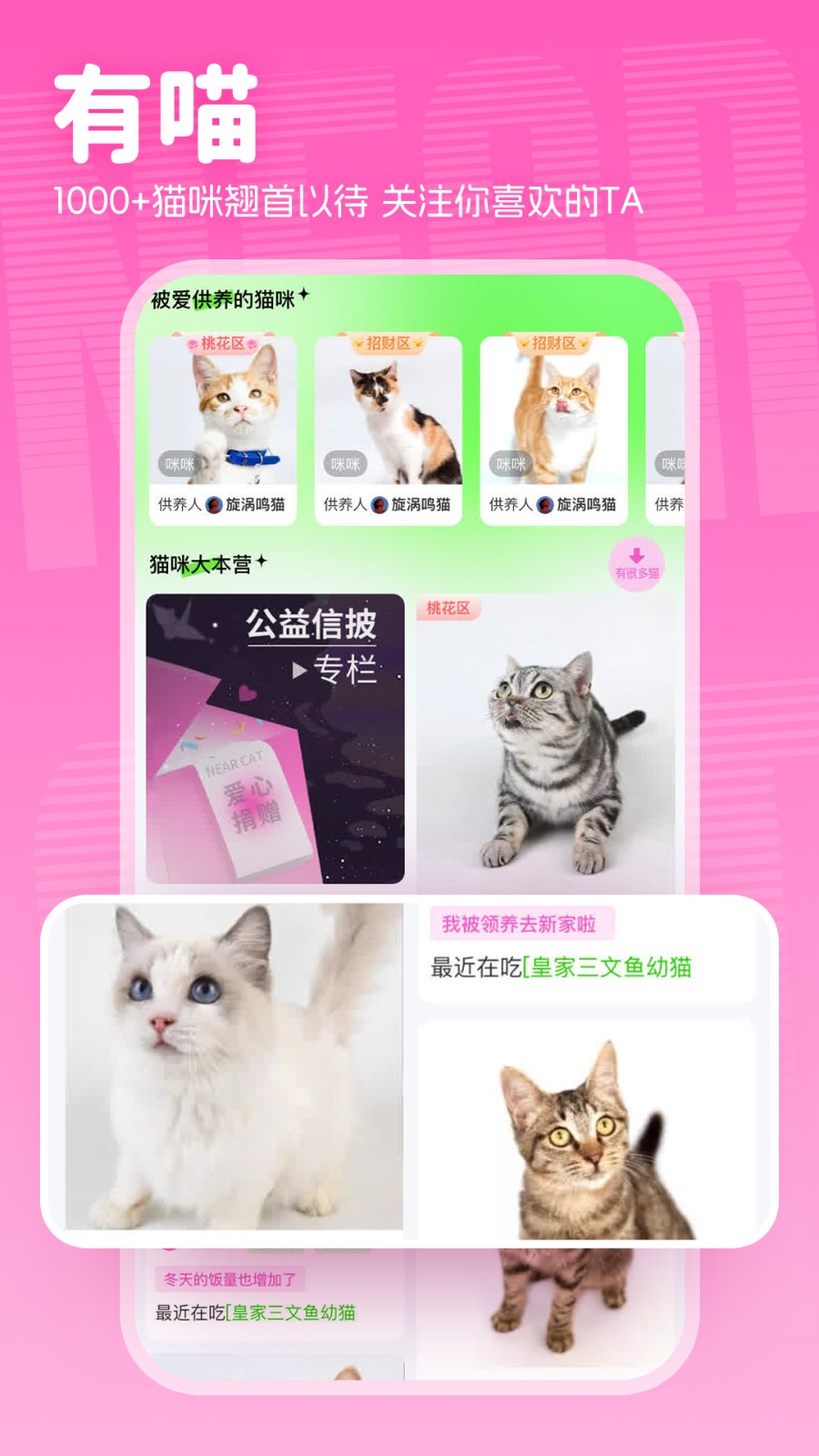 附近有喵 v1.2.70 安卓版 2