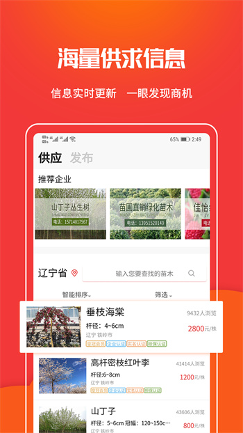 苗木網(wǎng)最新版 v1.2.9 安卓版 0