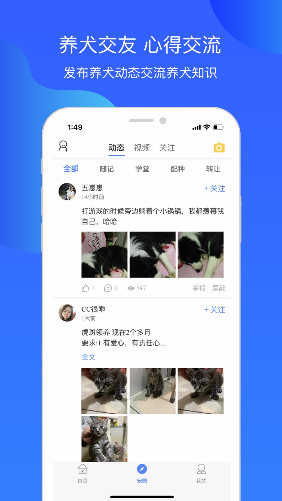 犬衛(wèi)士app v1.3.86 安卓版 1