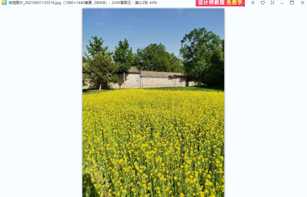 2345看圖王 v11.4.0.10421 精簡綠色版 1