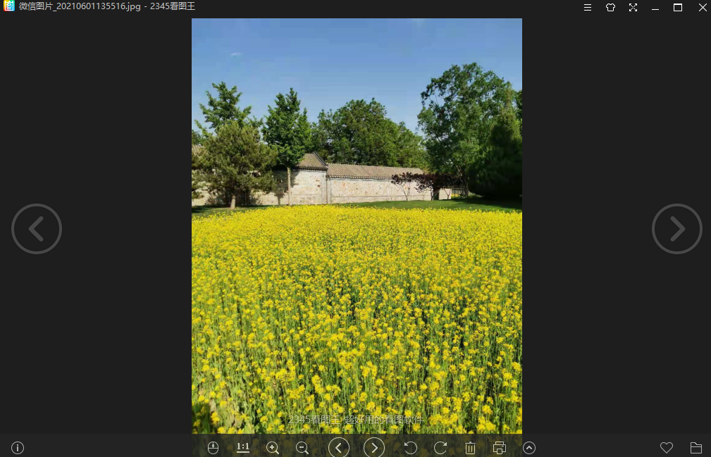 2345看圖王 v11.4.0.10421 精簡綠色版 8