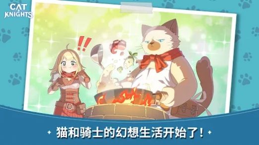 貓咪與騎士們 v1.20180 安卓版 0