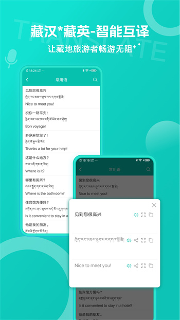 藏英翻譯軟件手機(jī)版 v6.3.0 安卓版 0